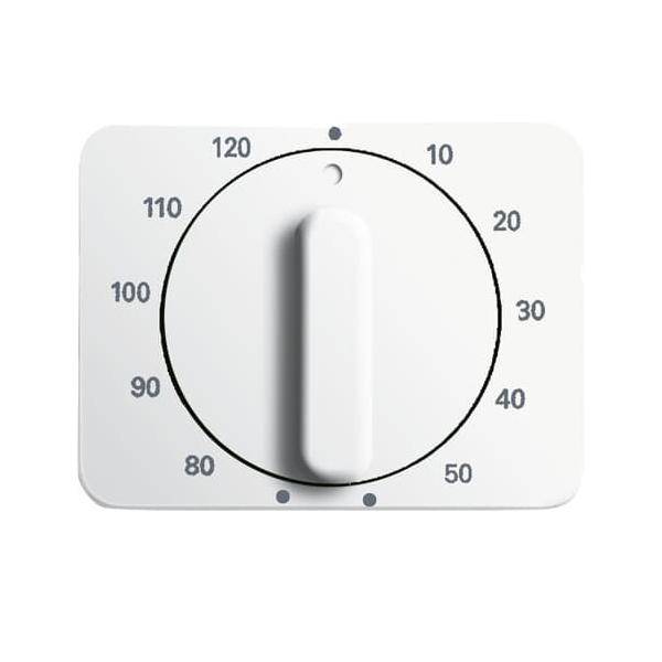 Busch-Jaeger Zentralscheibe stws gl 1771-24G-101