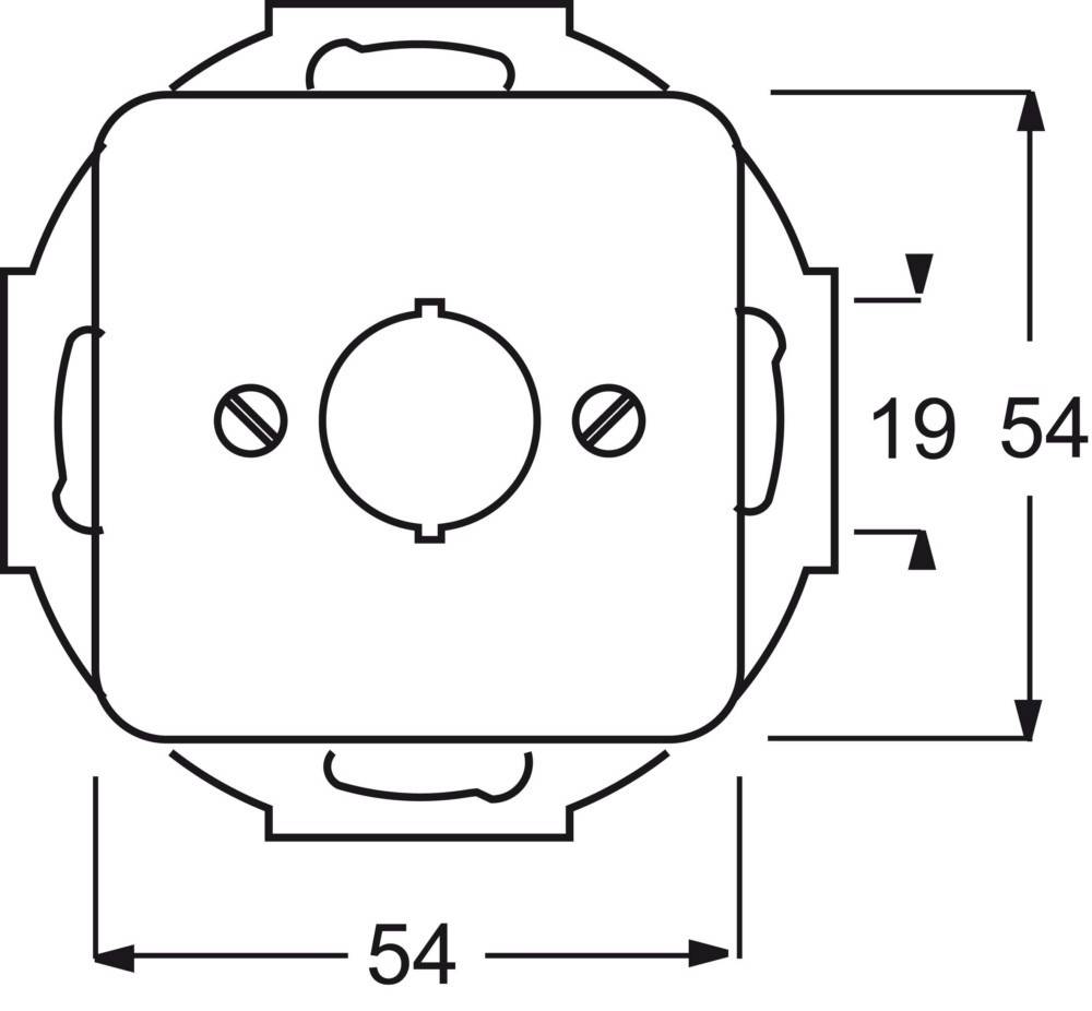 Busch-Jaeger Zentralscheibe ws 2534-212