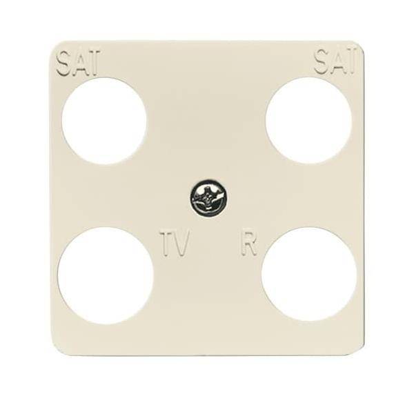 Busch-Jaeger Zentralscheibe ws 1743-04-212