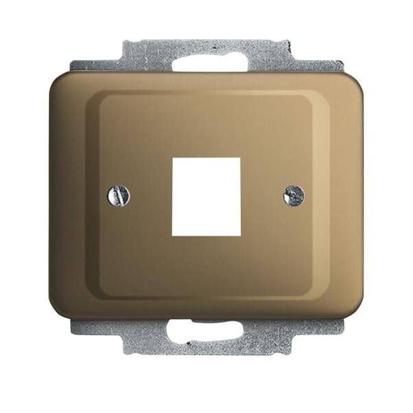 Busch-Jaeger Zentralscheibe brz 2561-21