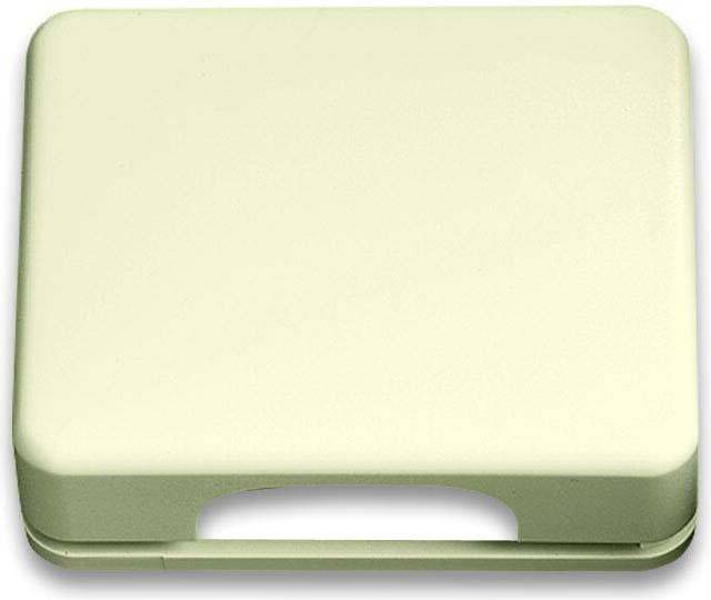 Busch-Jaeger Zentralscheibe elfenb-ws 1746-22G-101