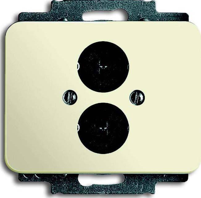 Busch-Jaeger Zentralscheibe elf/ws 1751-22G