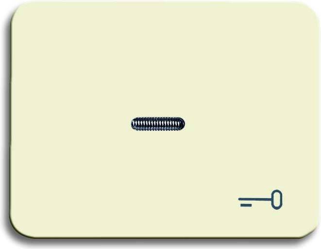 Busch-Jaeger Wippe ws 1789 TR-22G