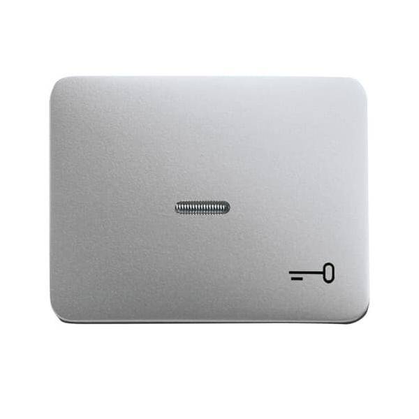 Busch-Jaeger Wippe ti 1789 TR-266