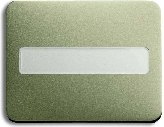 Busch-Jaeger Wippe pall 1781-260