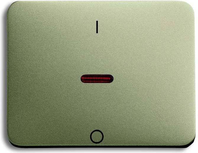 Busch-Jaeger Kontroll-Wippe pall 1788-260