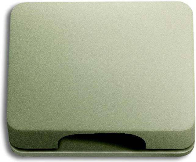 Busch-Jaeger Zentralscheibe pall 1746-260 FN