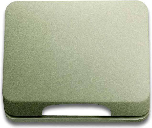 Busch-Jaeger Zentralscheibe pall 1746-260-101