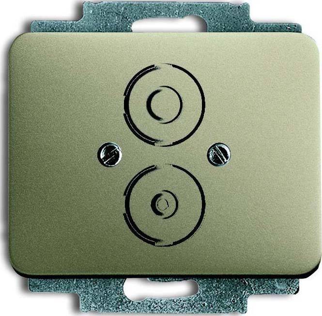 Busch-Jaeger Zentralscheibe pall 1748-260