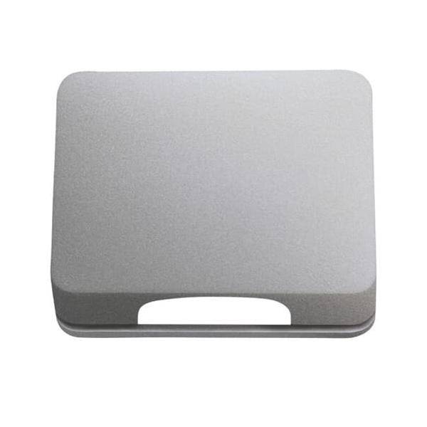 Busch-Jaeger Zentralscheibe ti 1746-266-101