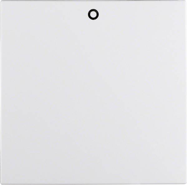 Berker Wippe pws 16221909