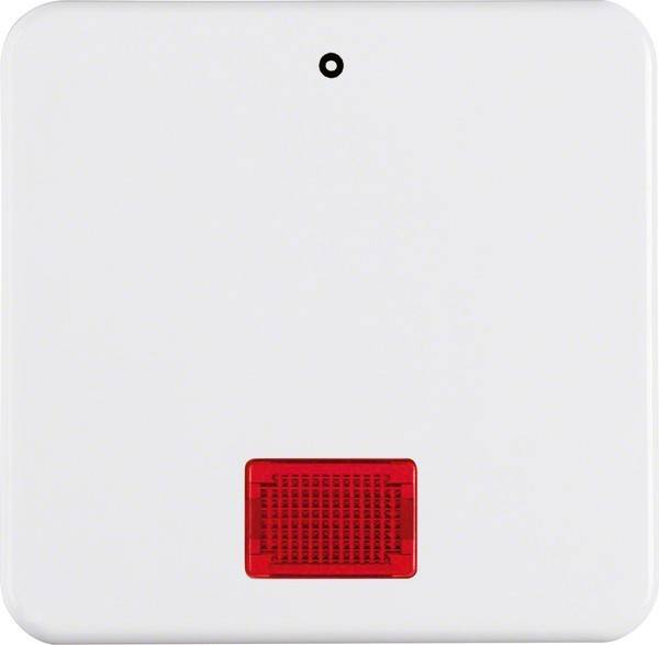 Berker Wippe pws 155809