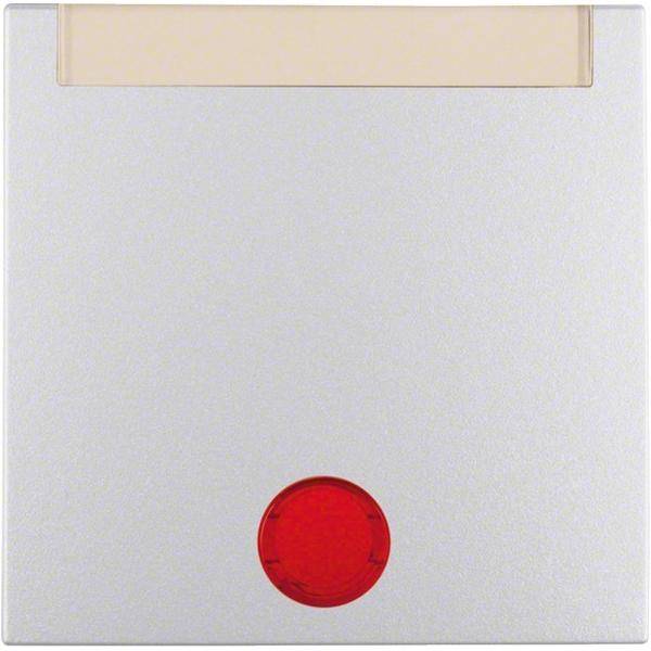 Berker Wippe alu matt 16281404