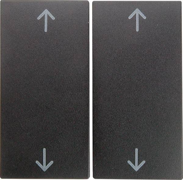 Berker Wippe anth matt 16441606