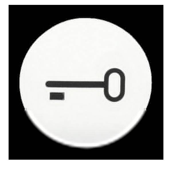 Busch-Jaeger Tastersymbol 2144 TR
