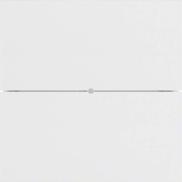 Berker Tastsensor 2fach Standard 75162099