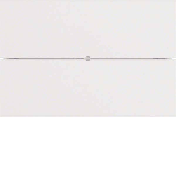 Berker Tastsensor 2fach Standard 75162099