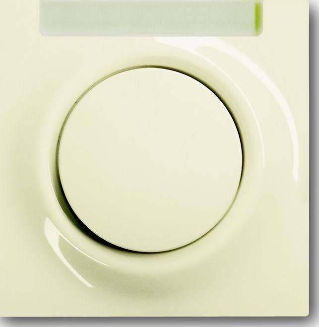 Busch-Jaeger Zentralscheibe elf/ws 1781-72