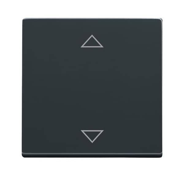 Busch-Jaeger Bedienelement 6430-81-102