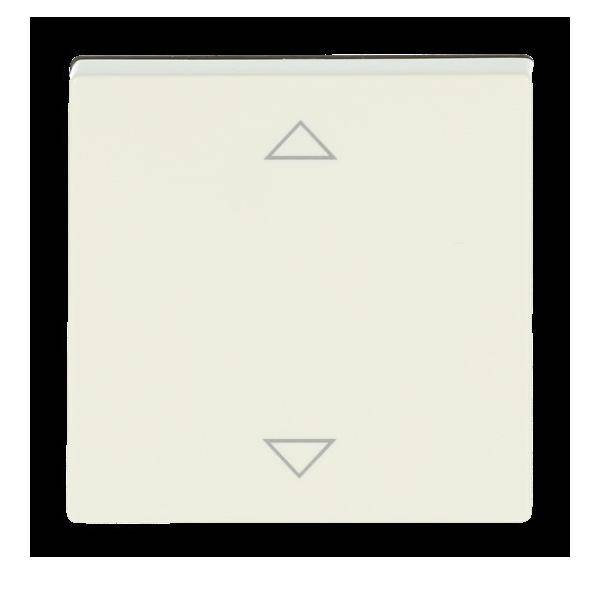 Busch-Jaeger Bedienelement 6430-82-102