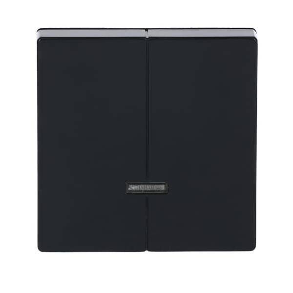 Busch-Jaeger Bedienelement 6545-81