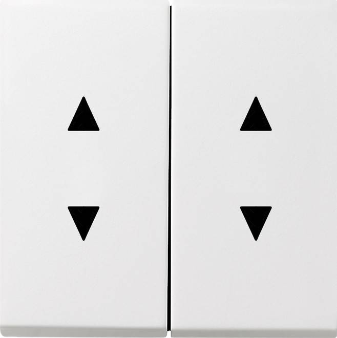 Gira Wippe rws-gl 1150112