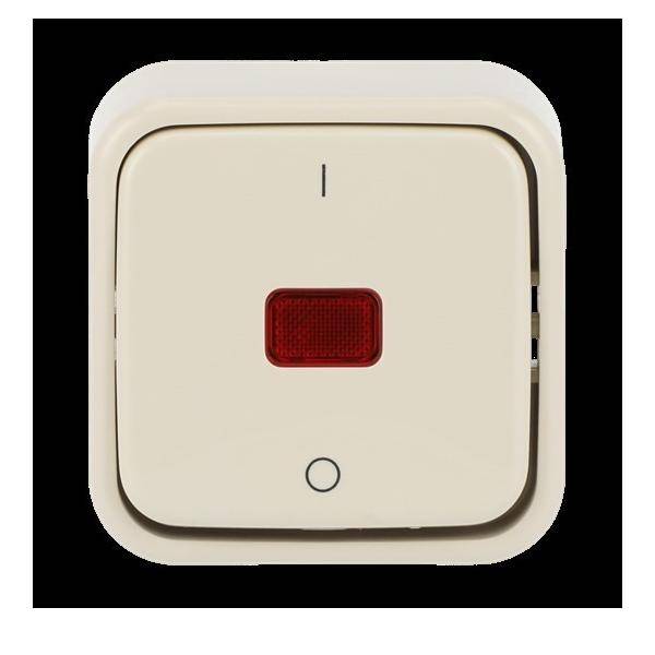 Busch-Jaeger Kontrollausschalter 2601/2 SKAP