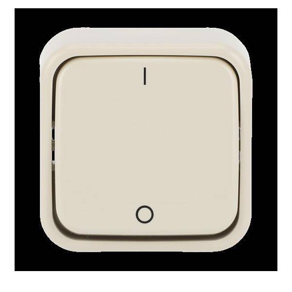 Busch-Jaeger Ausschalter 2-pol. 2601/2 AP