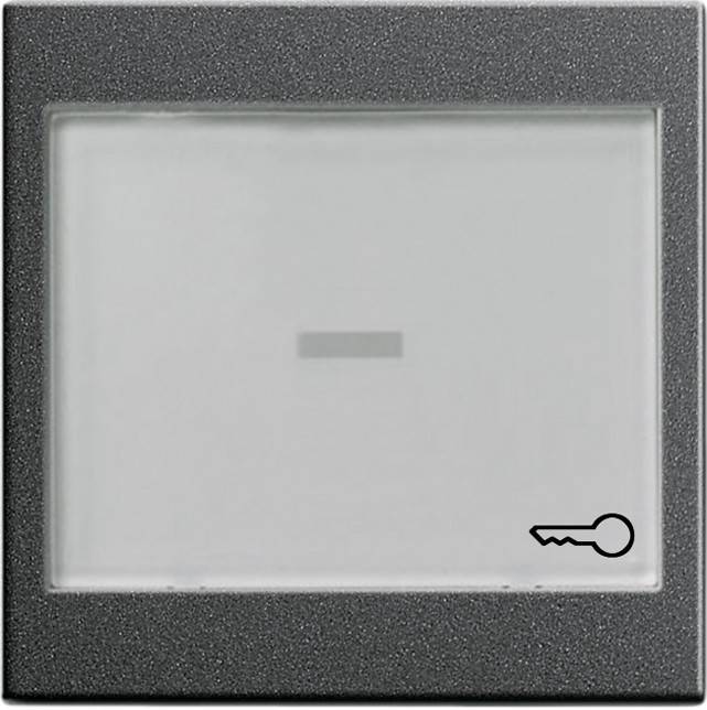 Gira Wippe Wechselsch. anth 067628