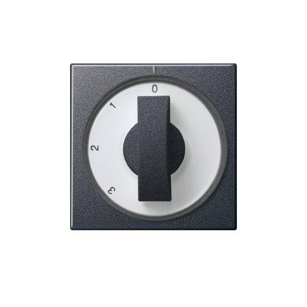 Gira Abdeckung m.Knebel anth 066928