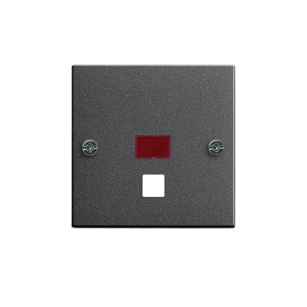 Gira Zentralplatte Zugtast. ant 063828