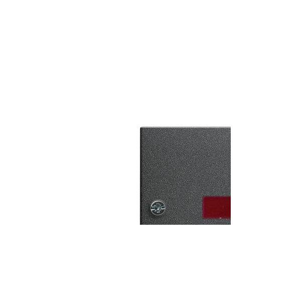 Gira Zentralplatte Zugtast. ant 063828