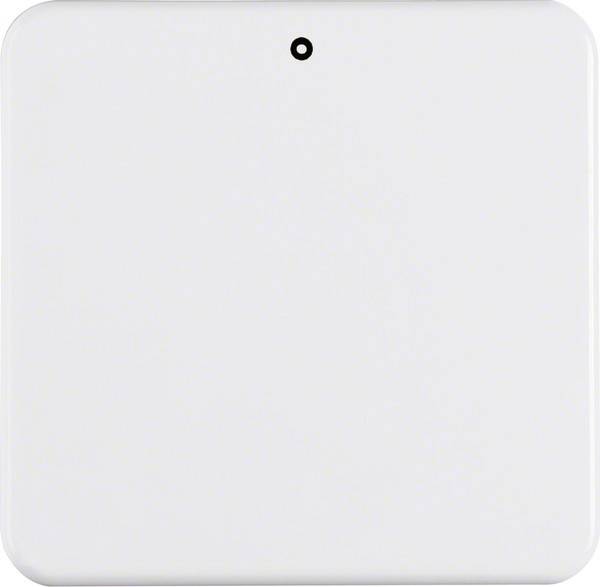 Berker Wippe pws 155109