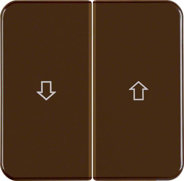 Berker Wippe br/gl 155221