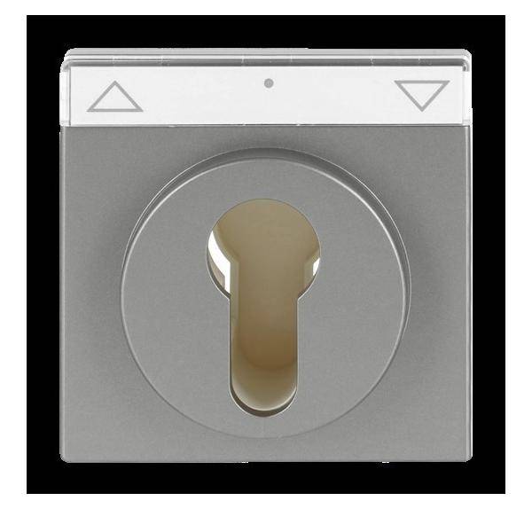 Busch-Jaeger Zentralscheibe eds 1755 SL/PZ-866-101