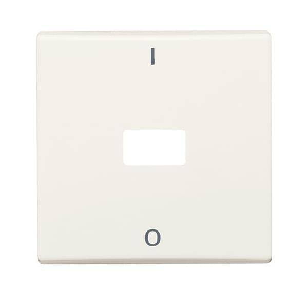 Busch-Jaeger Wippe cws 2108-32