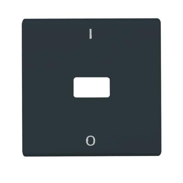 Busch-Jaeger Wippe anth 2108-35