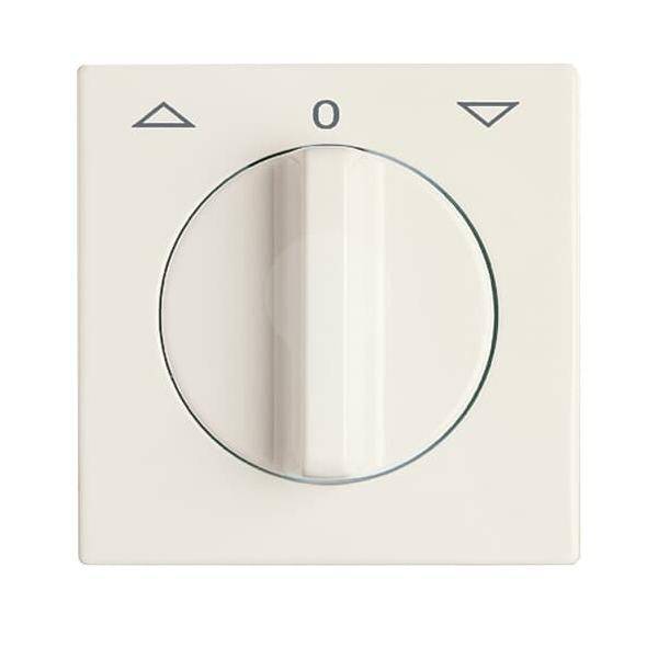 Busch-Jaeger Zentralscheibe weiss 2142 DR-32