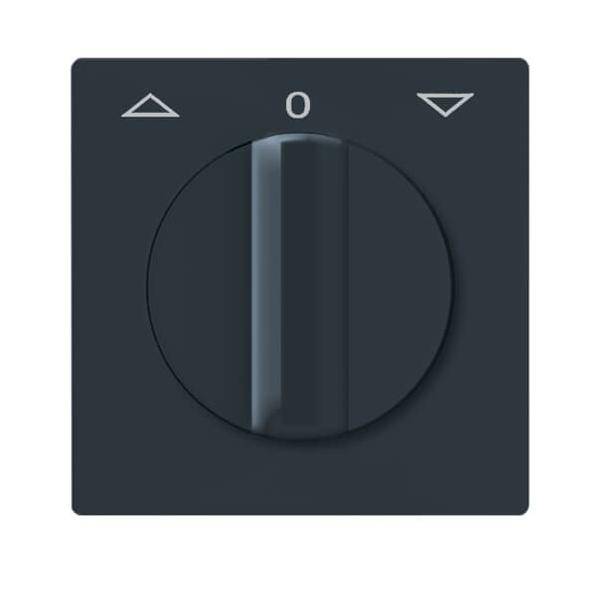 Busch-Jaeger Zentralscheibe anth 2142 DR-35