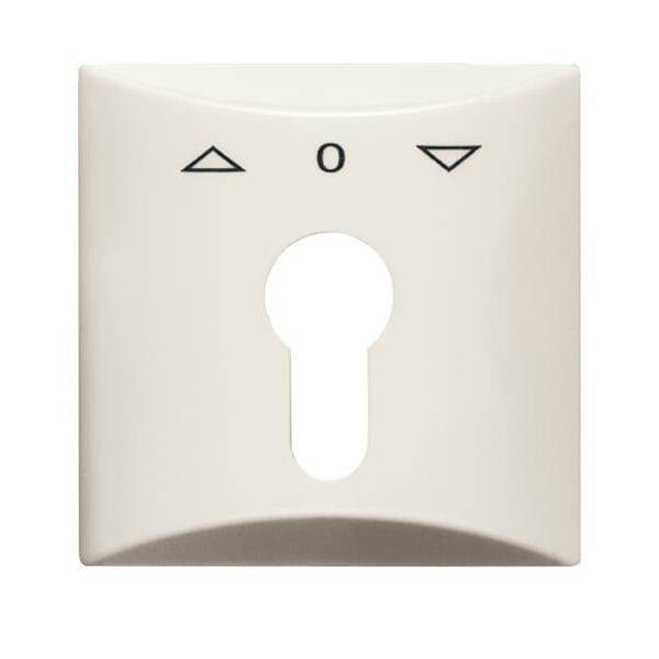 Busch-Jaeger Zentralscheibe weiss 2155 PZ-32