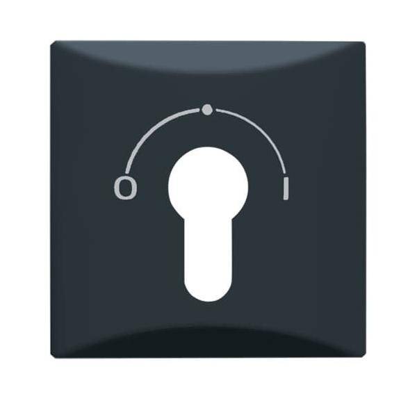 Busch-Jaeger Zentralscheibe anth 2155 SLPZ-35