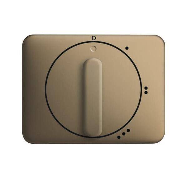 Busch-Jaeger Zentralscheibe brz 2542 DR/01-21