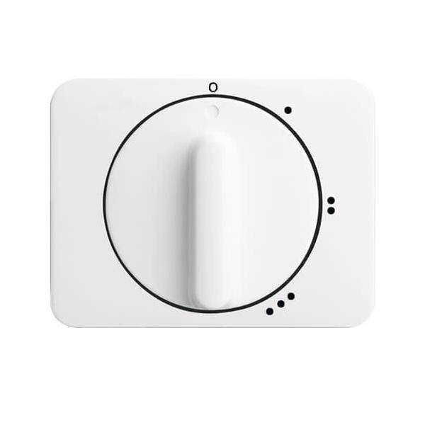 Busch-Jaeger Zentralscheibe stws gl 2542 DR/01-24G