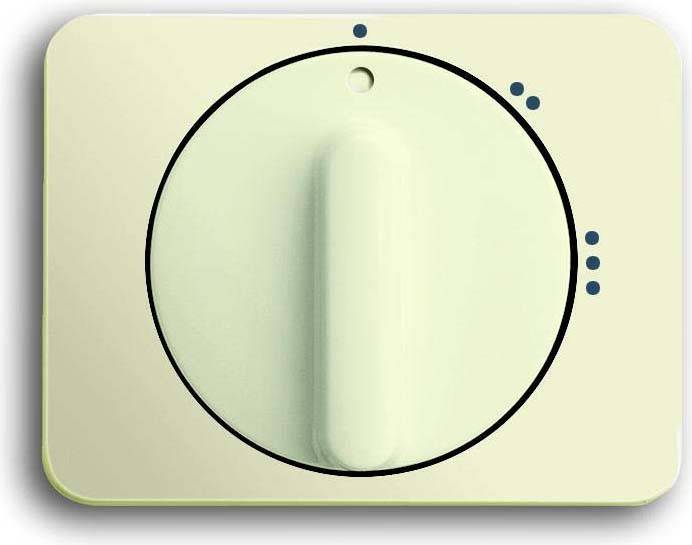 Busch-Jaeger Zentralscheibe ws 2542 DR/02-22G