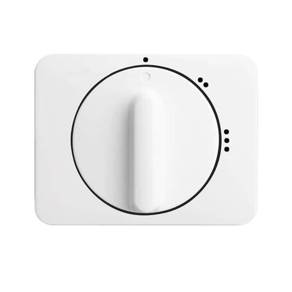 Busch-Jaeger Zentralscheibe stws gl 2542 DR/02-24G