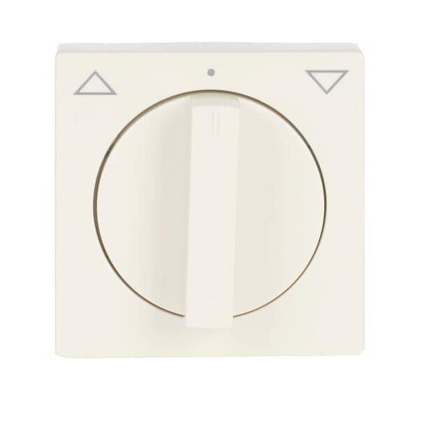 Busch-Jaeger Zentralscheibe sav/ews 1740-82