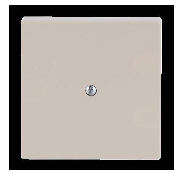 Busch-Jaeger Zentralscheibe sav/ews 1745-82