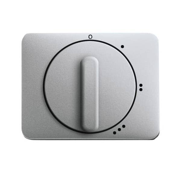 Busch-Jaeger Zentralscheibe ti 2542 DR/01-266