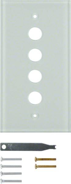 Berker Glasplatte 4fach 1394