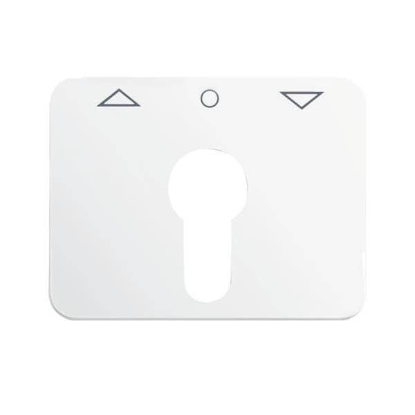 Busch-Jaeger Zentralscheibe sws 1755 PZ-24G-101